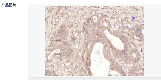 6051ad960a7ab.png image.png