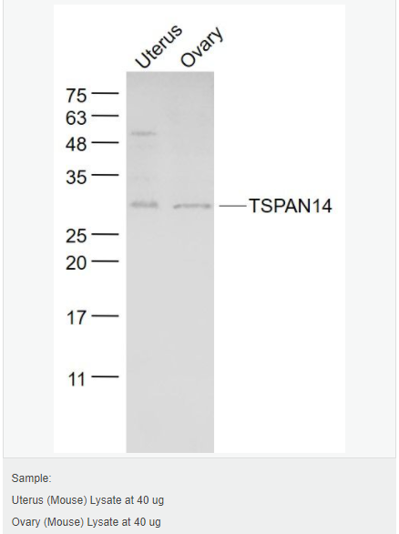 6052abdc8fc0a.png image.png