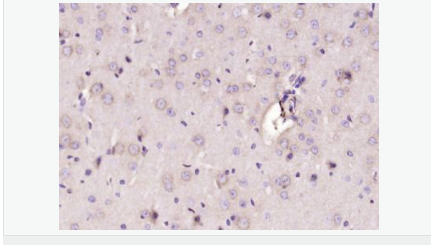 6052ad8fc90e3.png image.png