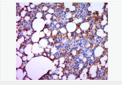 6052af40b233d.png image.png