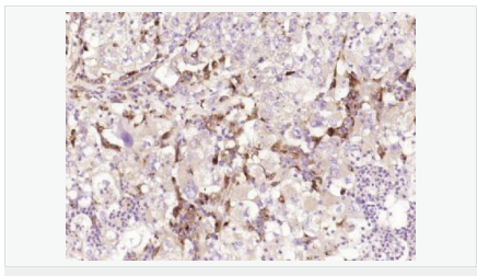 6052bbc777308.png image.png