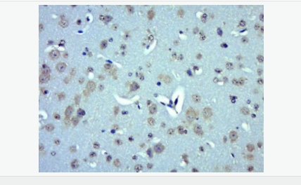 6052be8a49066.png image.png