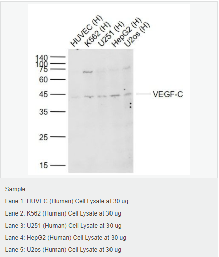 6052c2647beb1.png image.png