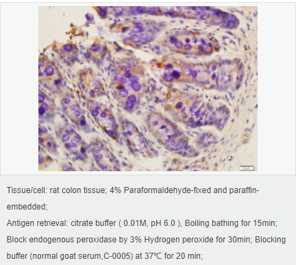 6054136700630.png image.png