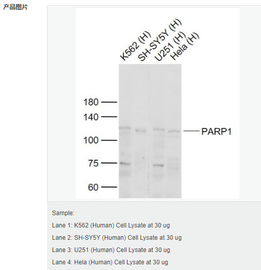 605437a9be7f3.png image.png