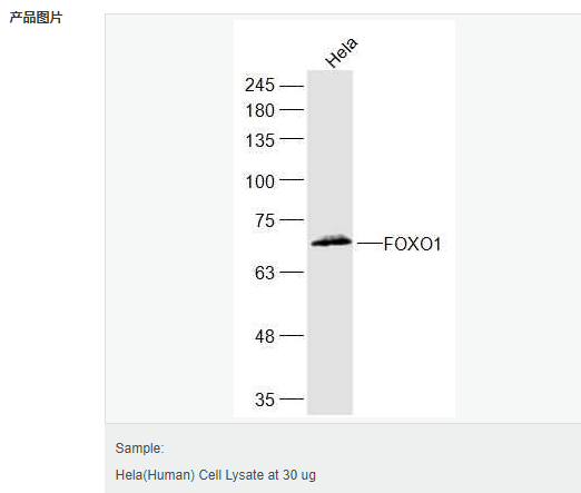 6057fe26cf096.png image.png