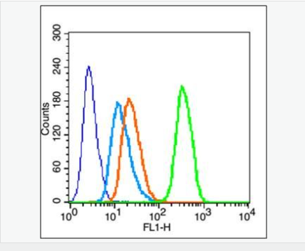 605839944e49f.png image.png