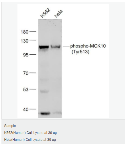 60583b3130f82.png image.png