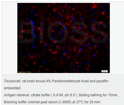 60583d44489c6.png image.png