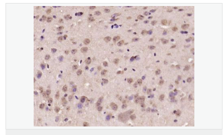 6058498e14720.png image.png