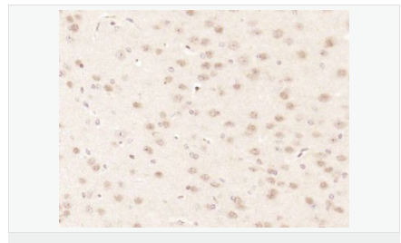 60584f3110779.png image.png