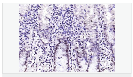 6058502634041.png image.png