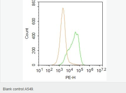 60593ea955628.png image.png