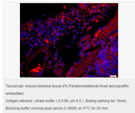 6059496105bb1.png image.png