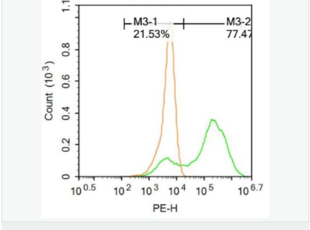 6059595305674.png image.png