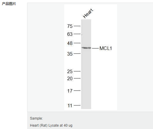 6059a5f67848d.png image.png