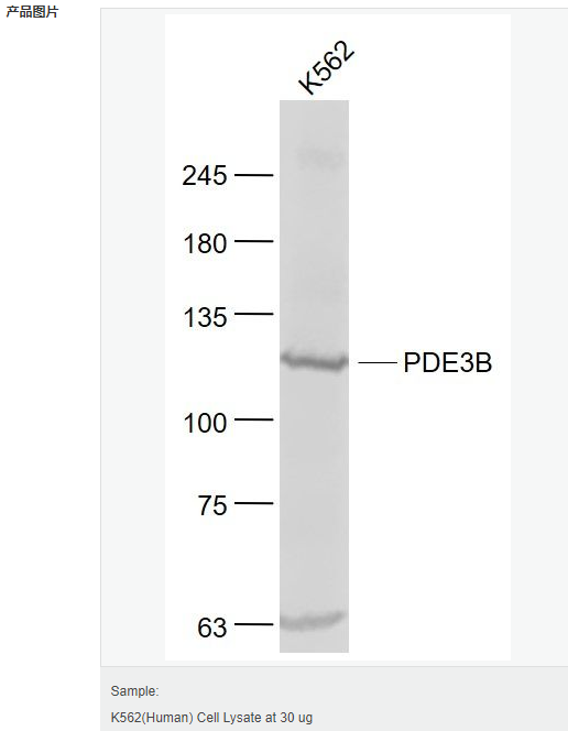 605acb71f02c8.png image.png