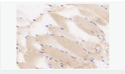 605d8374afc64.png image.png