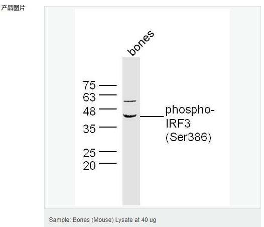 60640ef4353c0.png image.png