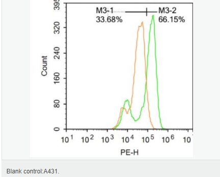 606411331695a.png image.png