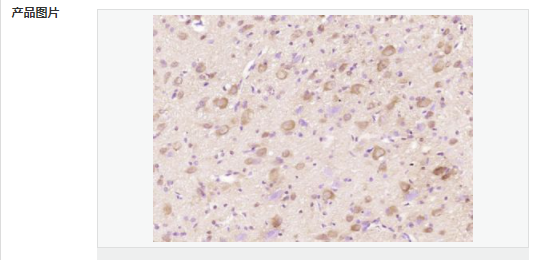 606411c633383.png image.png