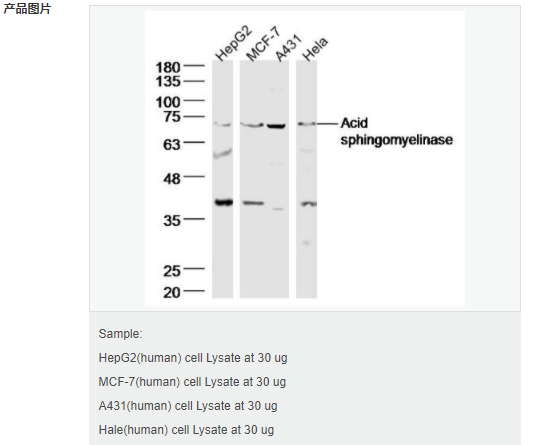 6065349875378.png image.png