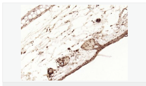 6066bc781e566.png image.png