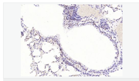 6066bc84da566.png image.png