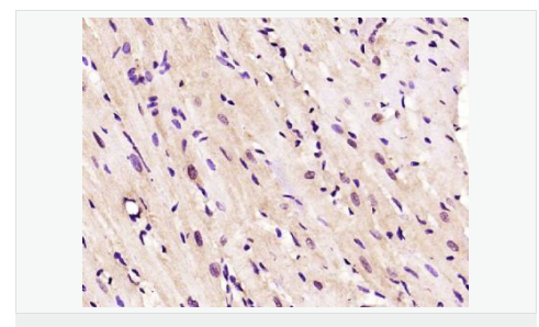 6066bd581ea35.png image.png