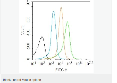 607640d68baf2.png image.png