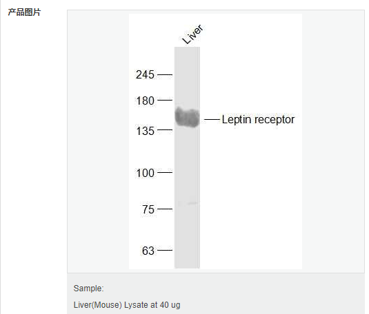 6076411fc204b.png image.png