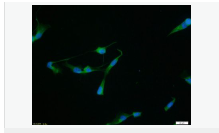 607645d60c1f9.png image.png