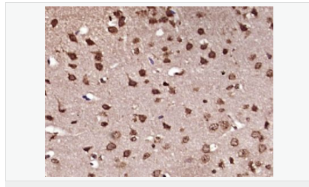 6076468e04806.png image.png