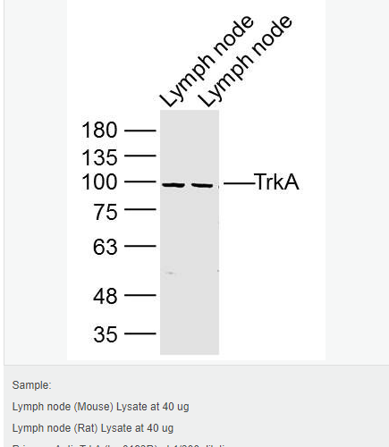 60764760578bf.png image.png