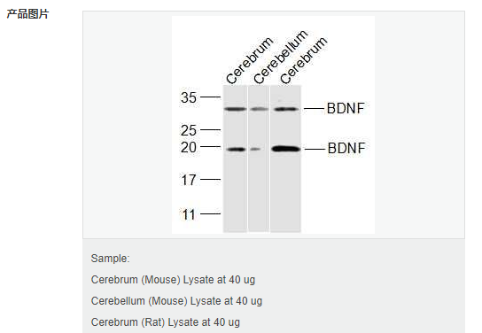 60764840654ea.png image.png