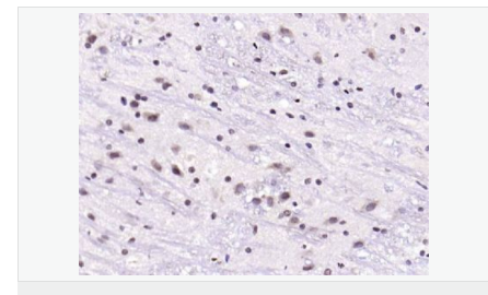 607656336e080.png image.png