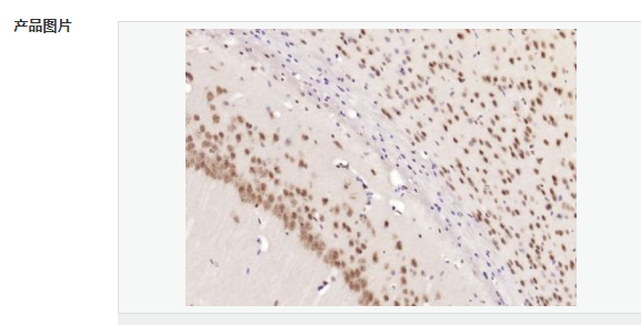 60767b6b2bdea.png image.png