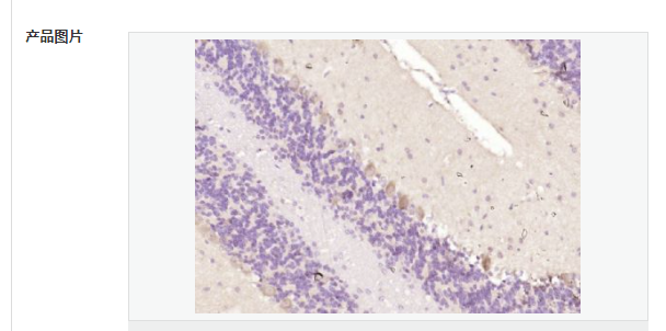 60767d400c992.png image.png