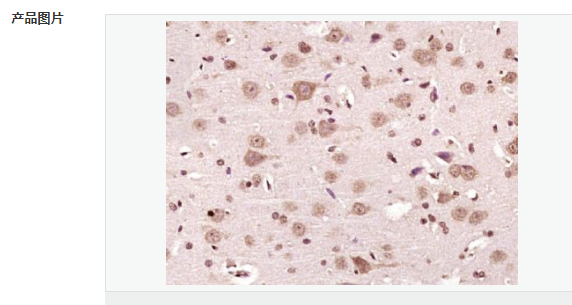 6077997be05b8.png image.png