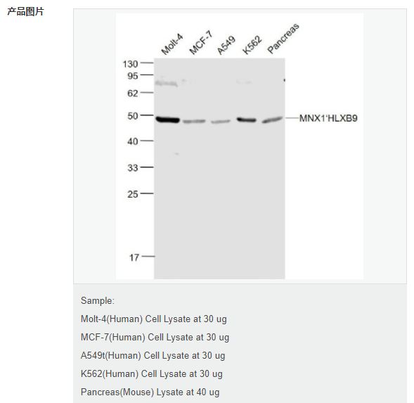 6077a4fa72633.png image.png