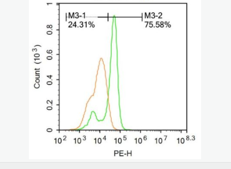 6077e186c395f.png image.png