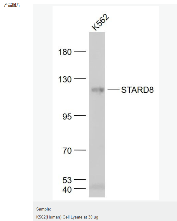 6077e4a2726a1.png image.png