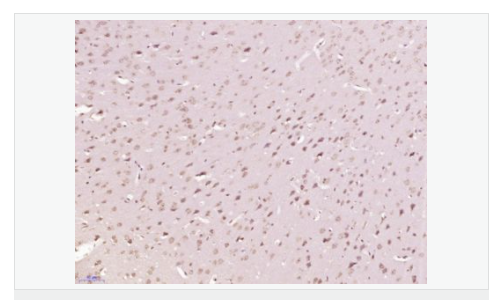 6078e7fe101d7.png image.png