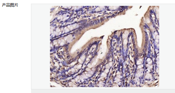 607d16d91efe6.png image.png