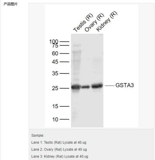 607d18ad6ed56.png image.png