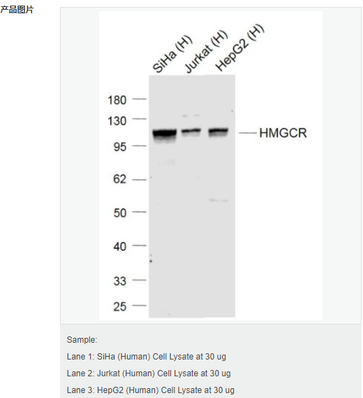 607d355182492.png image.png