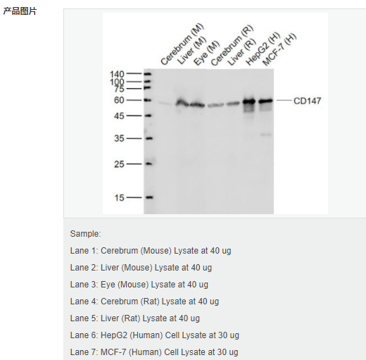 607d386f8aa24.png image.png