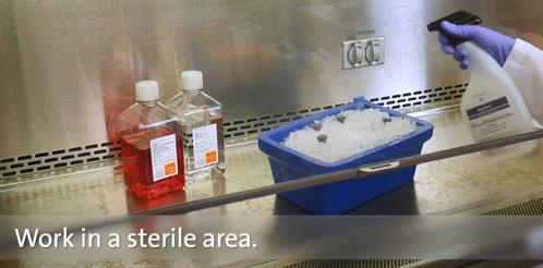 60e65ee7a3f66.png image.png